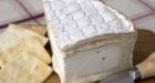 Cheese is the new 'white gold'