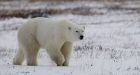 Feds to sign Arctic pact as climate talks begin