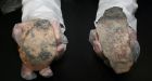 Human Stone Age diet included processed grains