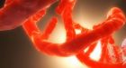 Scientists crack cancer codes