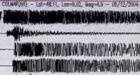 Major earthquake strikes Taiwan; 4 injured