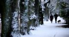 Subfreezing weather batters Europe, causing deaths