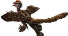 Bird-like dinosaur was poisonous: scientists