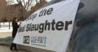 PETA protest at cenotaph angers veterans