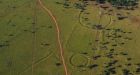 Amazon revolution? Researchers unearth lost cities