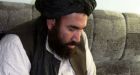 Arrest of Afghan Taliban's No. 2 confirmed