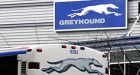 Greyhound passengers abandoned on highway