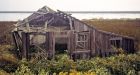As ghost town sinks, wildlife return