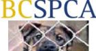 SPCA wins compensation in 'landmark case'