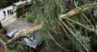 Thousands still without power after B.C. wind storm
