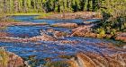 Mercury still plagues Ont. First Nation: report
