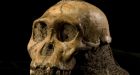 Newly found fossils could link to human ancestor