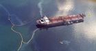 Exxon Valdez oil still found in Alaskan ducks