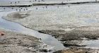 Tar pond could become a park