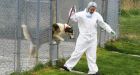 Fired shelter manager says she is OSPCA scapegoat