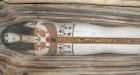 Archeologists unearth ancient tombs, mummies in Egypt