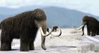 Ancient climate change 'link' to CO2