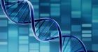 Researchers grow rat lung in lab