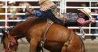 Animal rights groups will target sponsors at Calgary Stampede