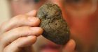 Early humans ventured further north than thought