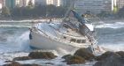 Vancouver windstorm downs trees, power