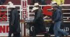 Horses killed at Calgary Stampede