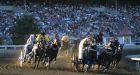 Bad 24 hours at the Calgary Stampede -- 4 horses dead, 1 rider injured