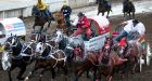 Rain forces Stampede to cancel chuckwagon race