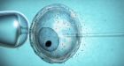 Quebec. Province first to cover in-vitro costs