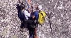 Base jumper rescued off B.C. cliff face