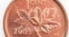 Man tries to pay tax with 200,000 pennies