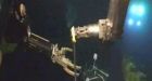For the first time in three months, BP stops oil