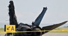 Crashed jet's pilot in good condition