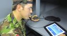 UK soldiers use iPad app to train for Afghan operations