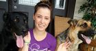Dogs save woman from violent intruder