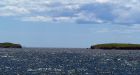 13 Bay of Fundy islands for sale