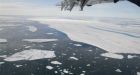 Ward Hunt Ice Shelf loses chunk