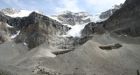 Rockies fossils yield 8 new species