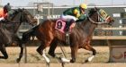 Horse honours NHL's 9/11 fallen