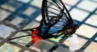 Artificial skins detect the gentlest touch