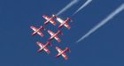 Bird strike interrupts Snowbirds show