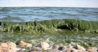 Governments pledge Lake Winnipeg cleanup