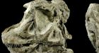 Two new dinosaur species discovered; still extinct