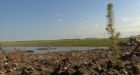 Suncor trumpets tailings pond reclamation