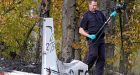 Plane crash claims former hockey team owner