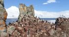 Google Street View now in Antarctica