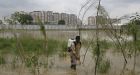 Indian official contracts dengue fever as Games open