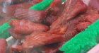 Listeria found in B.C. salmon product