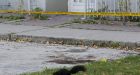 2 teens shot dead in lobby of Regent Park highrise