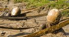 Cadets battle obstacles, mud